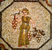 mosaico-uva-basilica-doc-friuli-aquileia