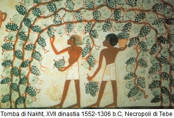 storia-del-vino-antico-egitto-tomba-nakht-necropoli-tebe-origini-del-vino